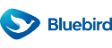 Blue_Bird-1 (1)